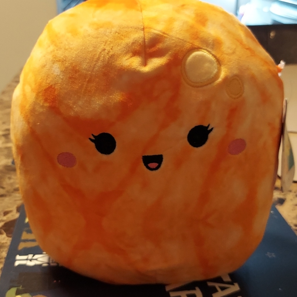 Judy the Tangerine squishmallow